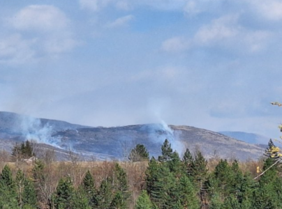 POŽAR NA PLANINI LUNJEVAČI U opštini Drvar danas izbio požar koji je zahvatio travu i nisko rastinje