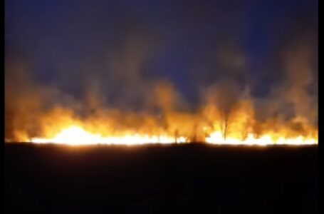 POŽAR NA BRDU IZNAD SARAJEVA Gori dio šume: Zbog nepristupačnog terena vatrogasci pješke idu na požarište