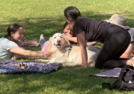 (VIDEO) „POBOLJŠAO IM JE FOKUS“ Zlatni retriver upao na čas joge u parku