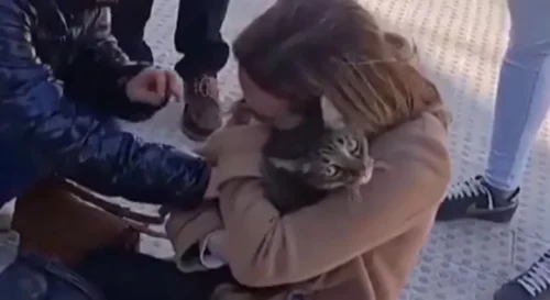 (VIDEO) LIJEPE VIJESTI Mačak Koko pronađen osam dana nakon požara u stambenom bloku