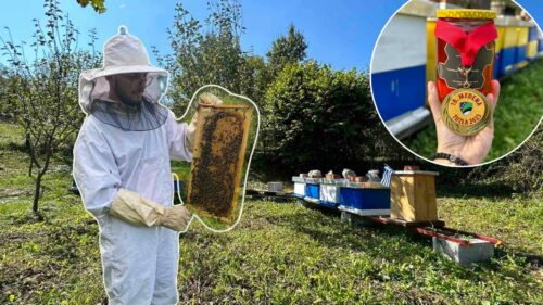 (FOTO) MLADI PČELAR IZ MRKONJIĆ GRADA KRUNISAN ZLATOM! Duško Ilić (28) je zaljubljenik u pčelarstvo, a za ALOonline otkriva trikove kako prepoznati pravi med: To je najsavršeniji proizvod prirode
