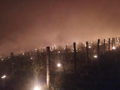 (FOTO) VATROM PROTIV MRAZA Pogledajte kako vinari iz Prnjavora štite vinograde, fotografije su spektakularne