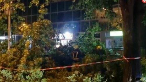 (VIDEO) POLICIJA NA TERENU Vjetar oborio dio stabla na vozila u Banjaluci
