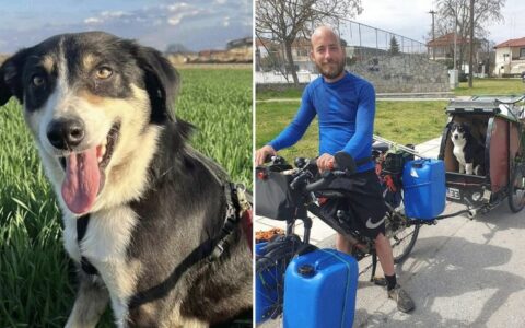 PRIČA DOBILA SREĆAN KRAJ Francuz prošle godine izgubio psa u Grčkoj, sad ga našao kod granice sa BiH