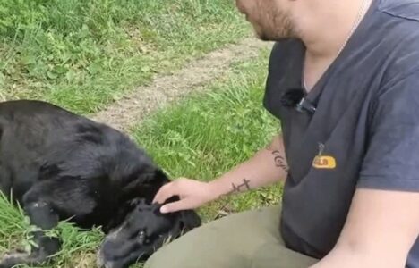 (VIDEO) DIRLJIVA PRIČA IZ OKOLINE PRNJAVORA Dario je doživio jezivu povredu, pa otkrio kako ga je pas spasio