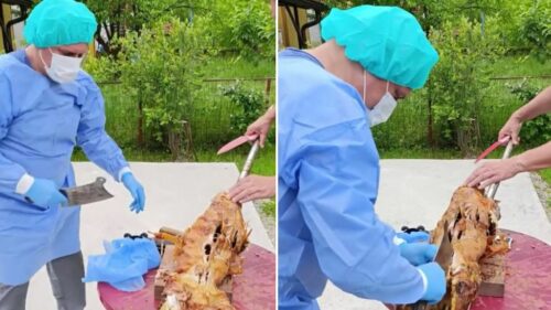 (VIDEO) OVO MORATE POGLEDATI! Obukao se kao hirurg, pa „operisao“ pečeno jagnje za 1. maj: Pacijent „gotov“