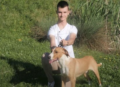 (VIDEO) RONI NEMA KONKURENCIJU Pas iz BiH najljepši na svijetu